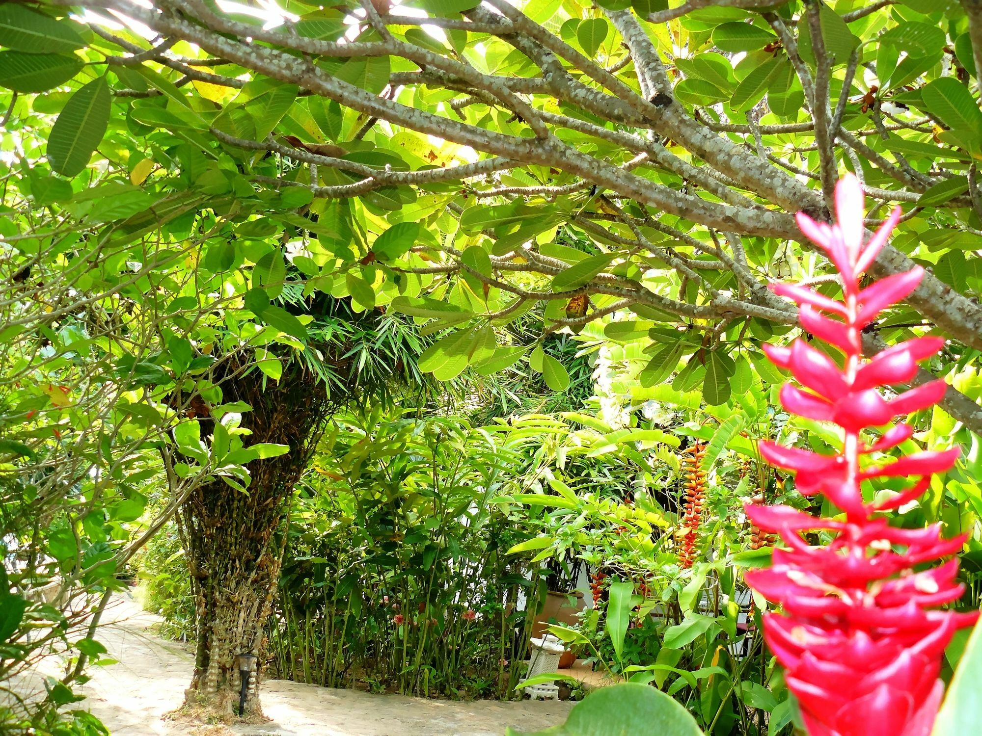 Mealea Resort Kep Ngoại thất bức ảnh