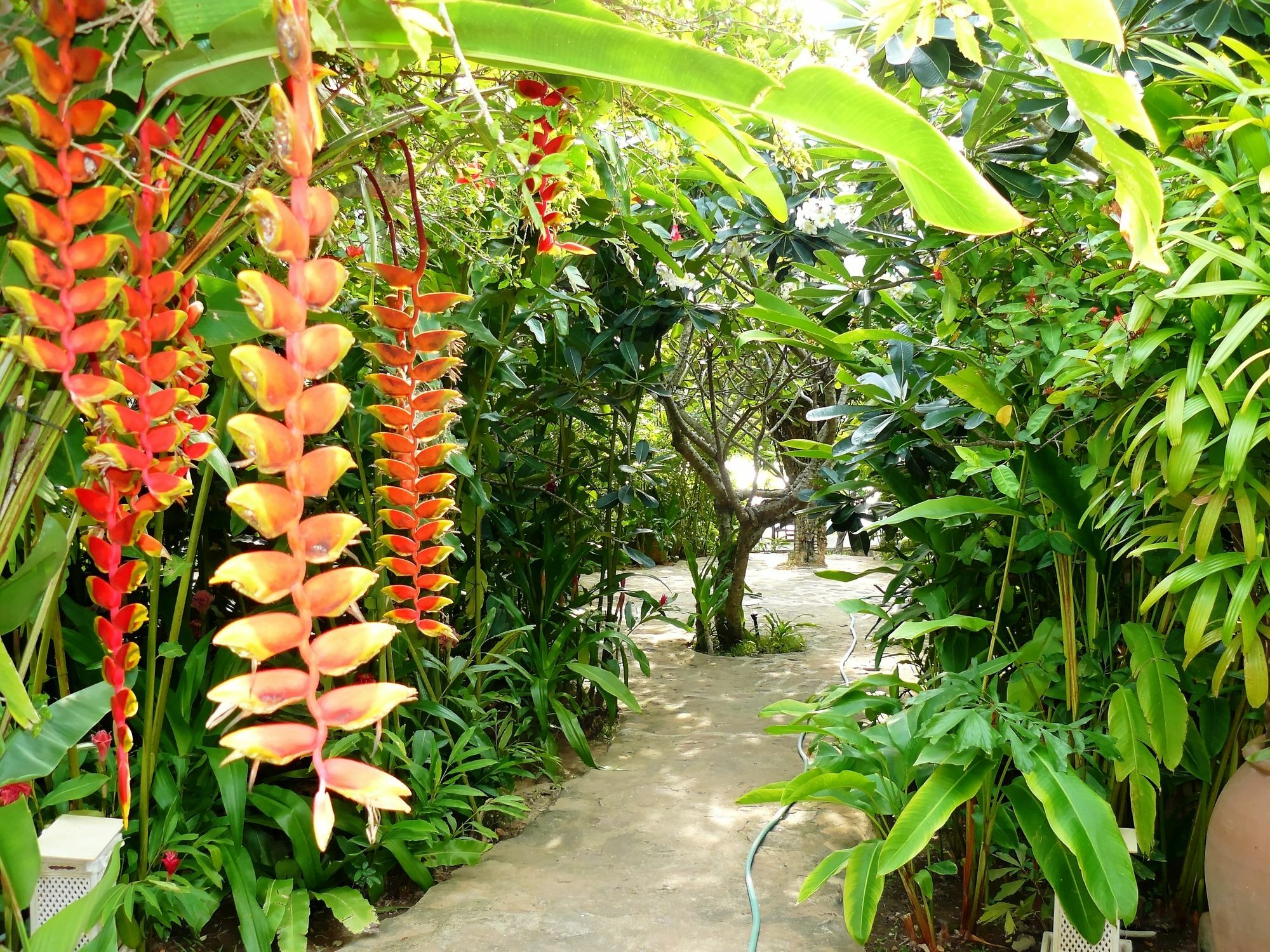 Mealea Resort Kep Ngoại thất bức ảnh