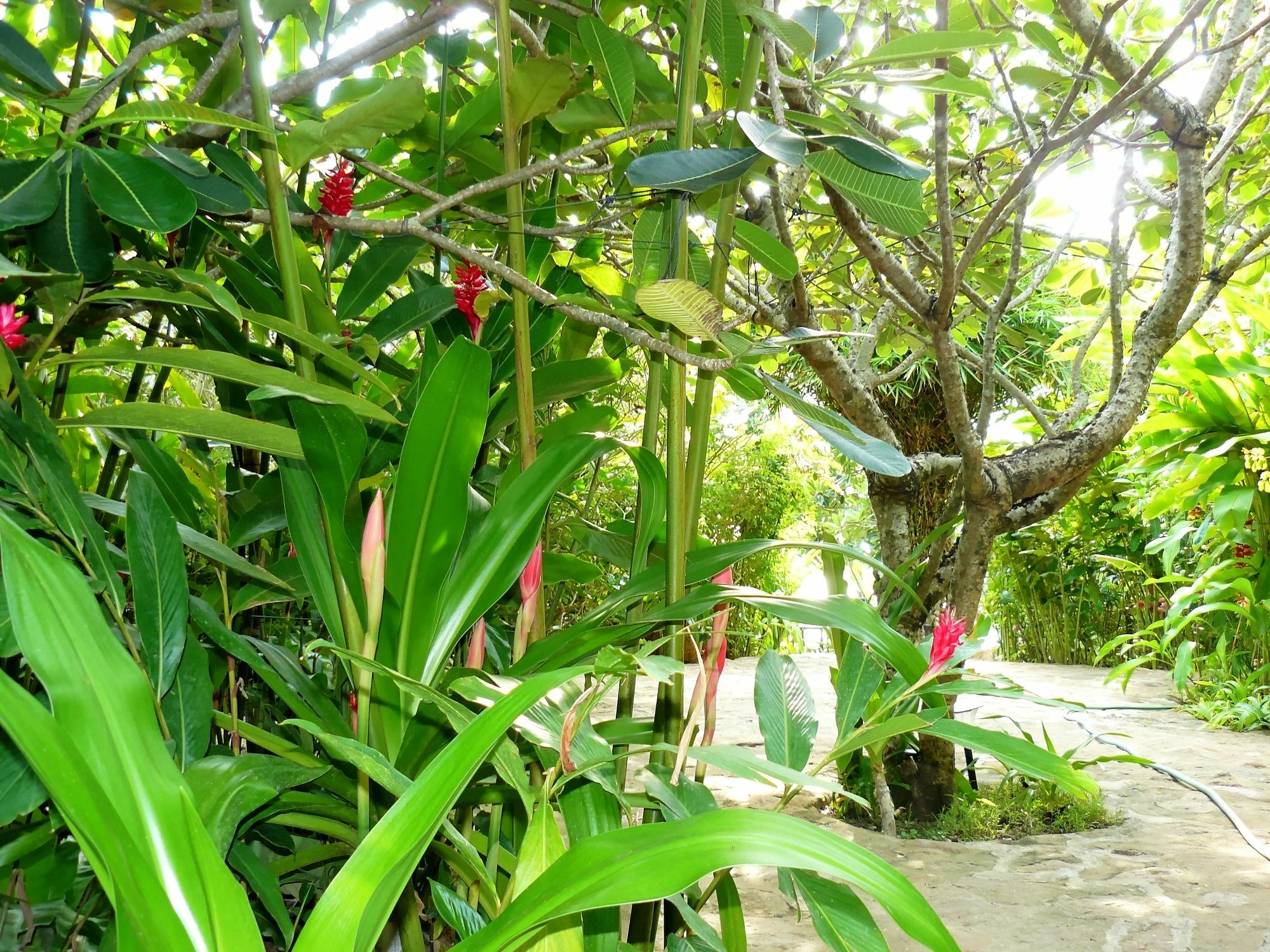 Mealea Resort Kep Ngoại thất bức ảnh