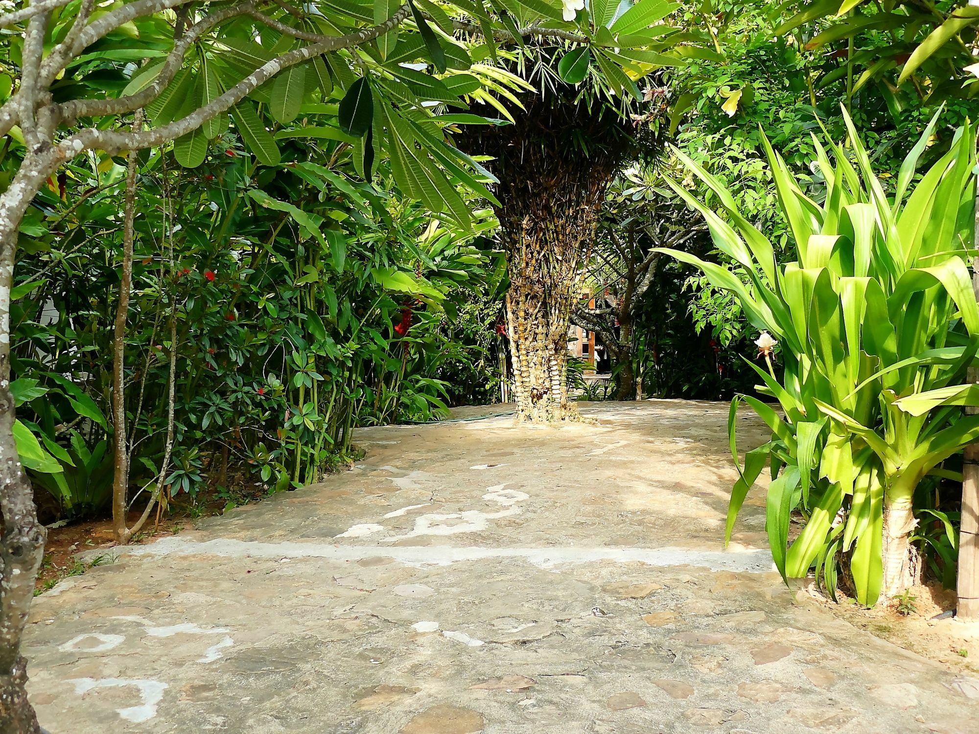 Mealea Resort Kep Ngoại thất bức ảnh