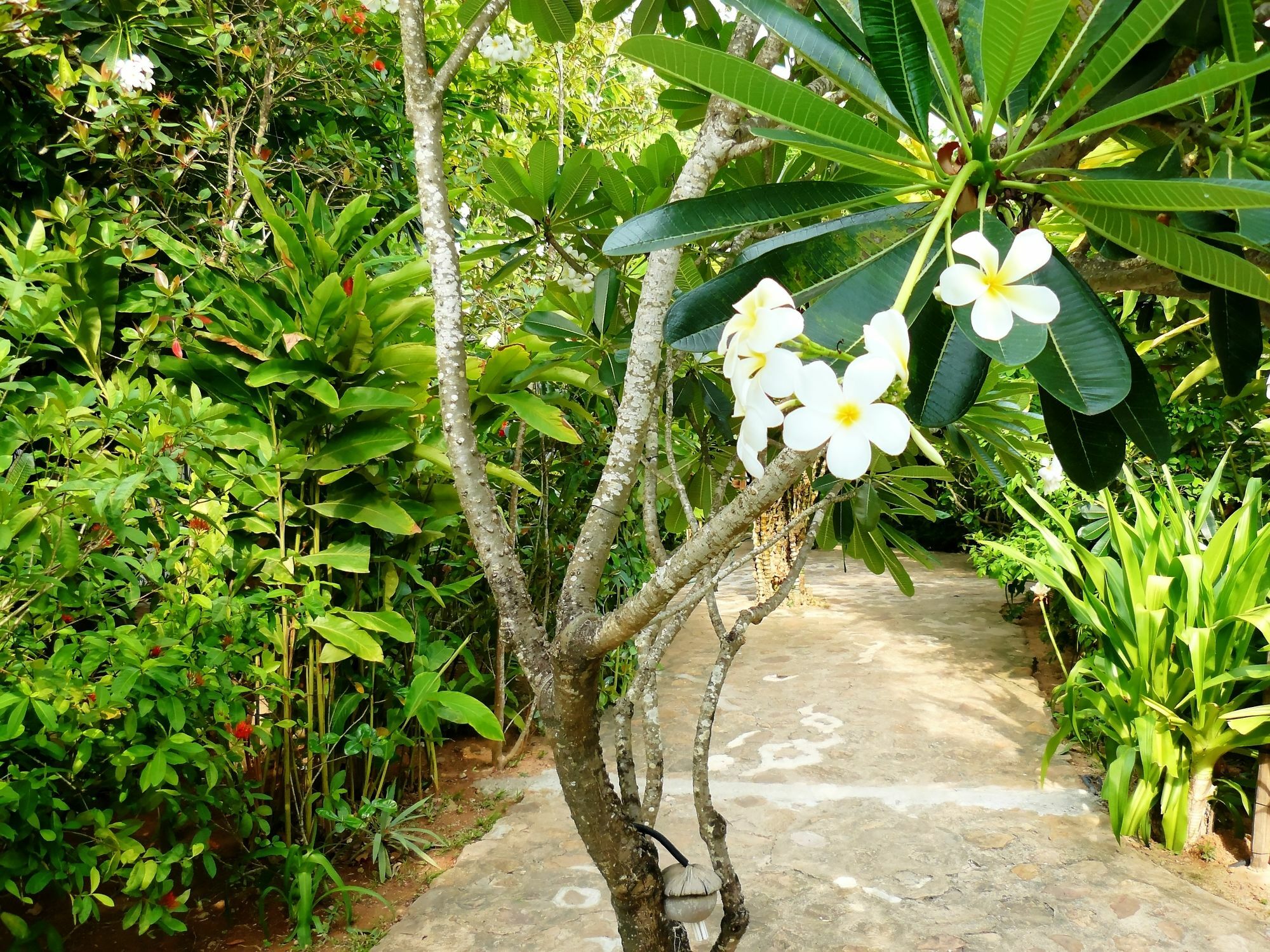 Mealea Resort Kep Ngoại thất bức ảnh