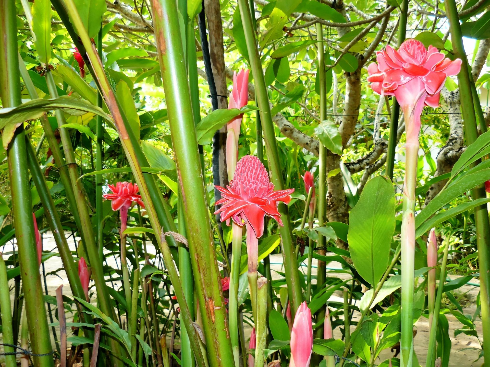 Mealea Resort Kep Ngoại thất bức ảnh