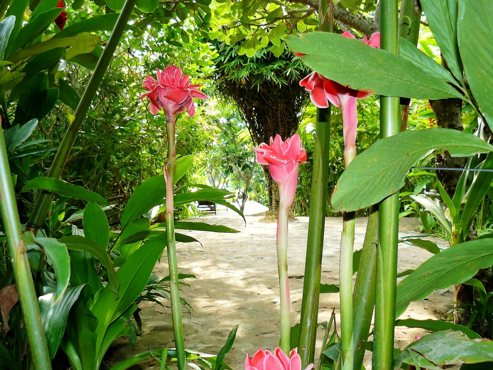 Mealea Resort Kep Ngoại thất bức ảnh